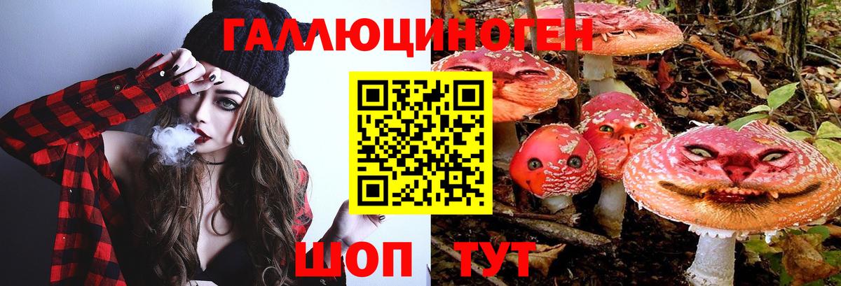 Ковров  Псилоцибиновые грибы прущие грибы  где найти наркотики  Вход с VPN 